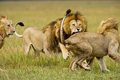 《机动战士高达 激战任务2》 