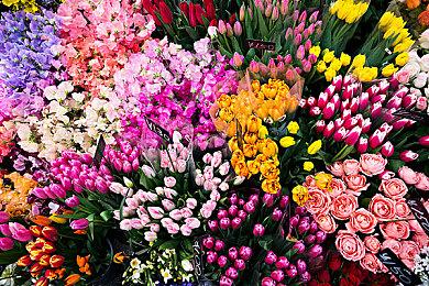 《时轮之间》Steam页面上线 支持繁体中文